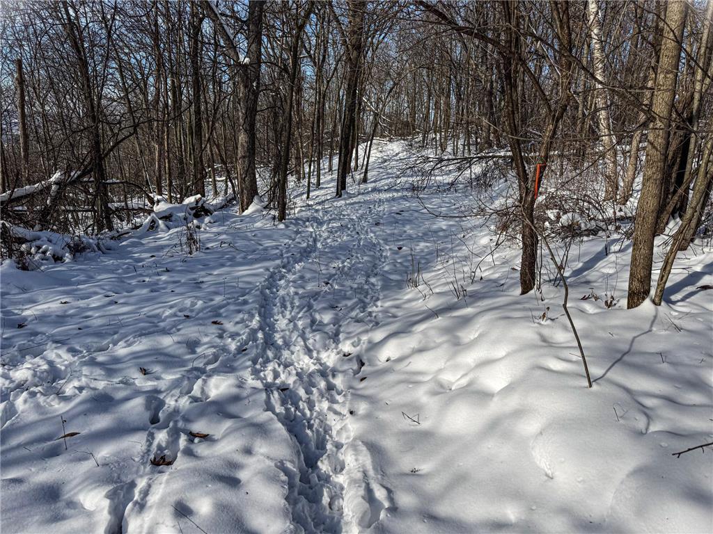 W27022 Whistle Pass Road Dodge WI 54661 7007838 image17