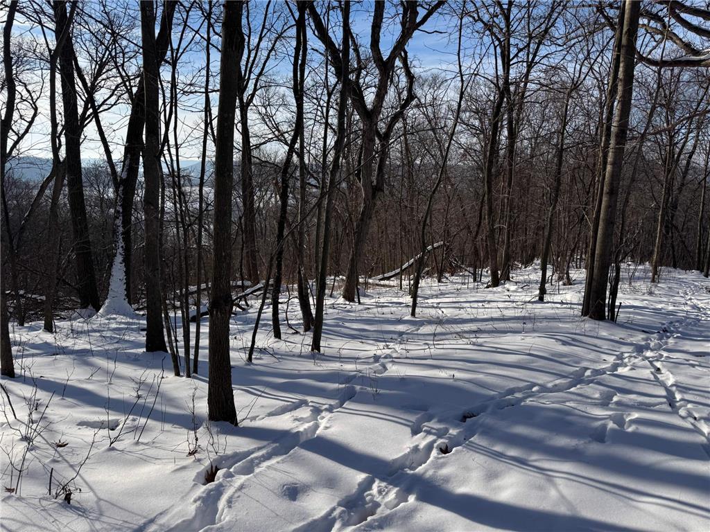 W27022 Whistle Pass Road Dodge WI 54661 7007838 image2