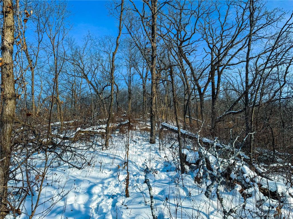 W27022 Whistle Pass Road Dodge WI 54661 7007838 image20