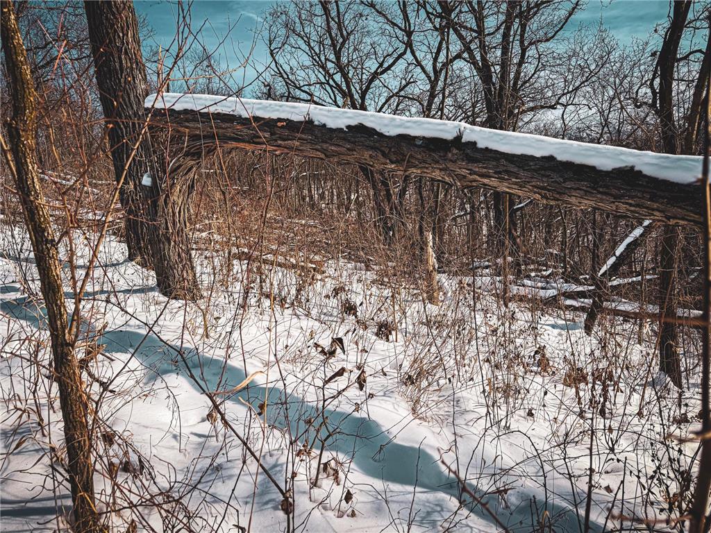 W27022 Whistle Pass Road Dodge WI 54661 7007838 image21