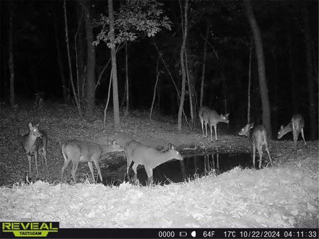 W27022 Whistle Pass Road Dodge WI 54661 7007838 image22