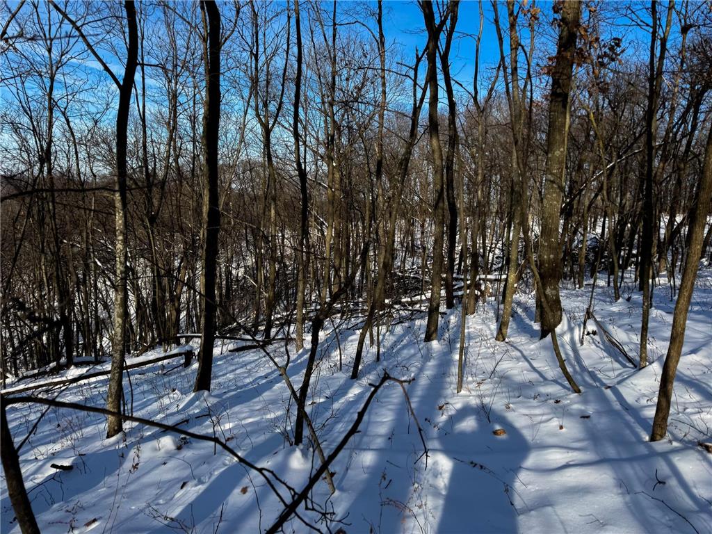 W27022 Whistle Pass Road Dodge WI 54661 7007838 image23