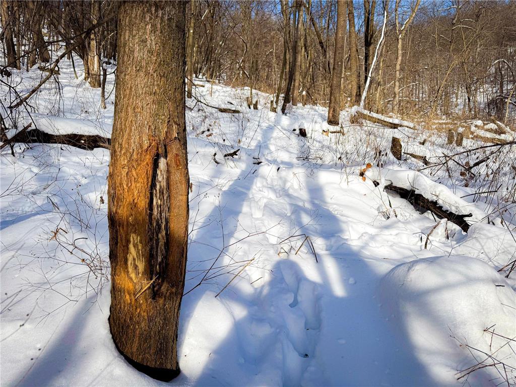 W27022 Whistle Pass Road Dodge WI 54661 7007838 image26