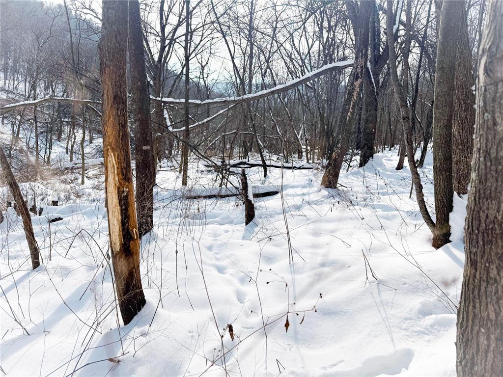 W27022 Whistle Pass Road Dodge WI 54661 7007838 image27