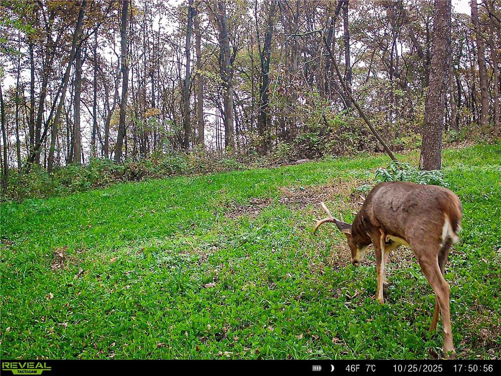 W27022 Whistle Pass Road Dodge WI 54661 7007838 image3