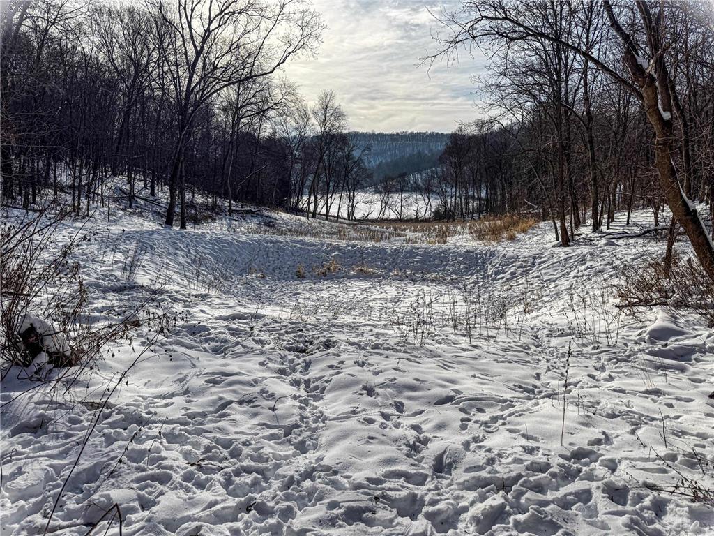 W27022 Whistle Pass Road Dodge WI 54661 7007838 image30