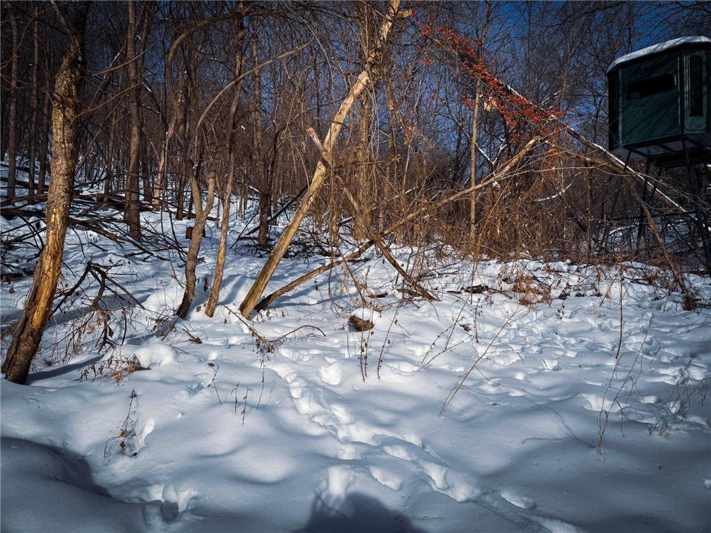 W27022 Whistle Pass Road Dodge WI 54661 7007838 image31