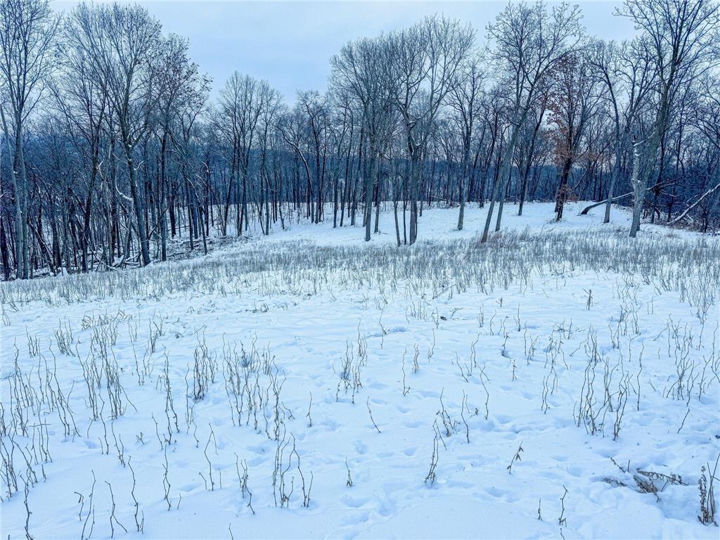 W27022 Whistle Pass Road Dodge WI 54661 7007838 image33