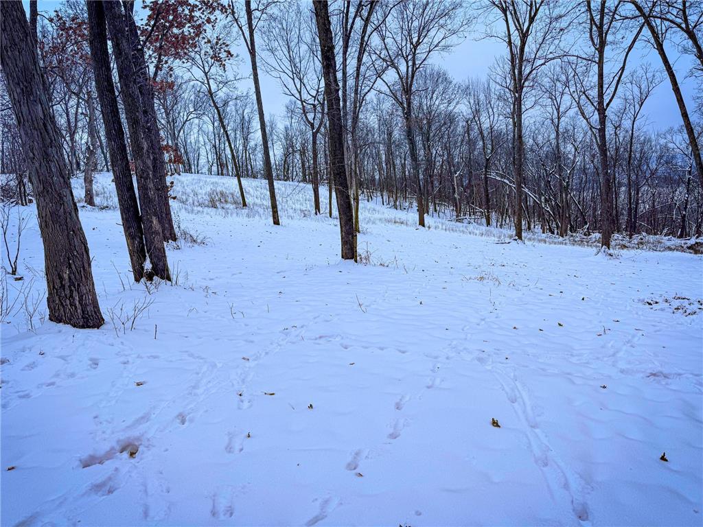 W27022 Whistle Pass Road Dodge WI 54661 7007838 image34