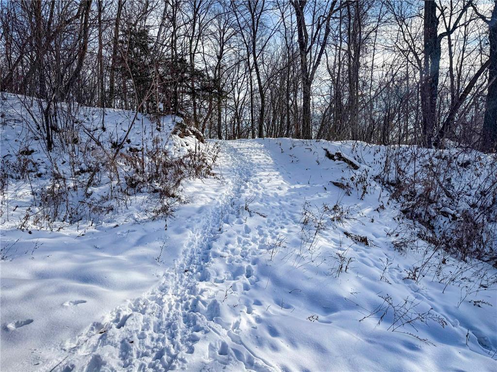 W27022 Whistle Pass Road Dodge WI 54661 7007838 image37