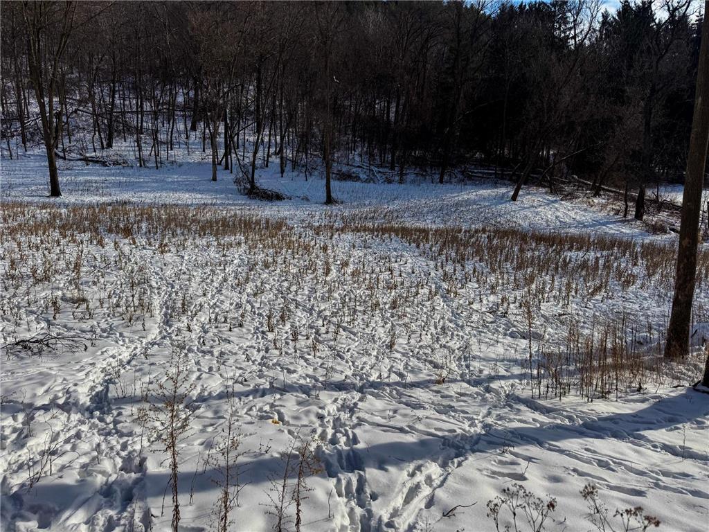 W27022 Whistle Pass Road Dodge WI 54661 7007838 image38