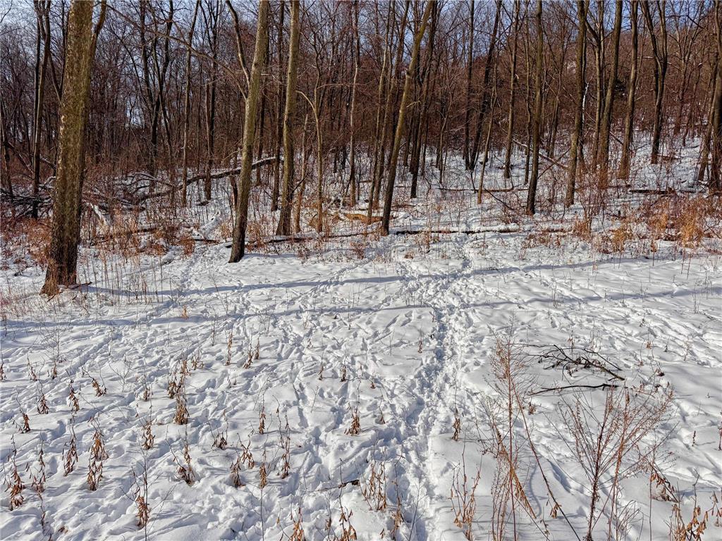 W27022 Whistle Pass Road Dodge WI 54661 7007838 image39