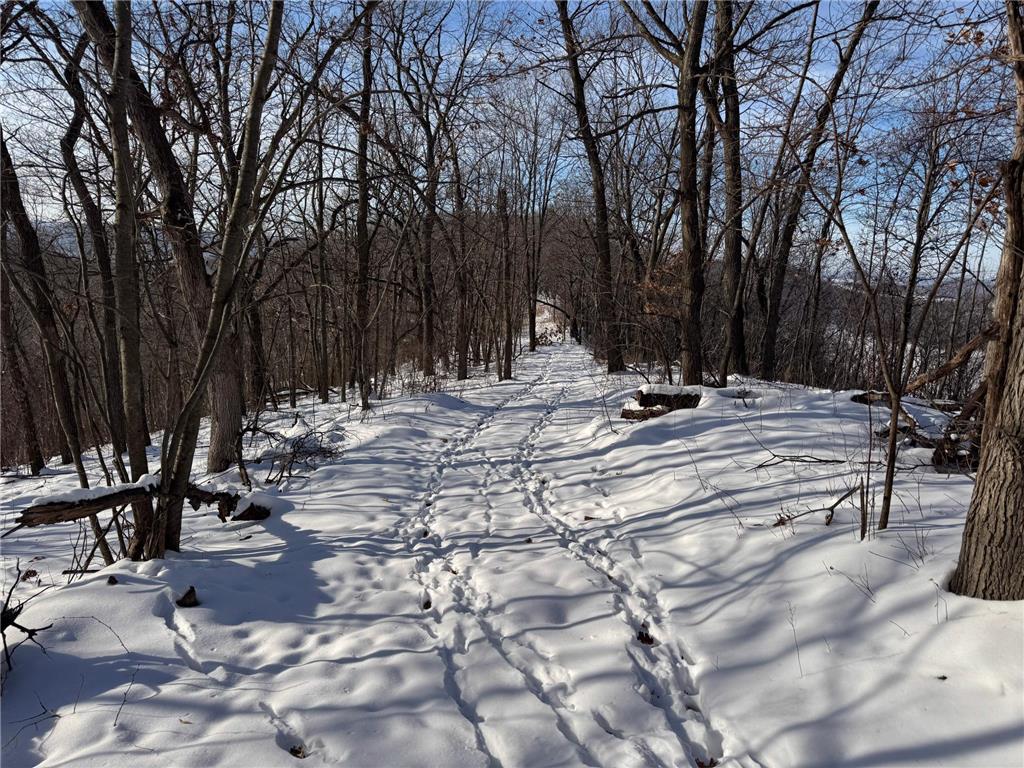 W27022 Whistle Pass Road Dodge WI 54661 7007838 image4