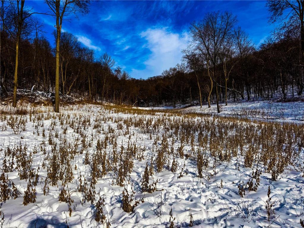 W27022 Whistle Pass Road Dodge WI 54661 7007838 image40