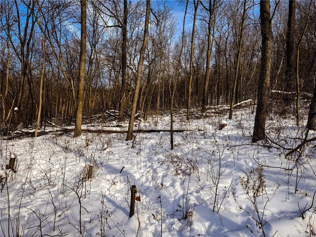 W27022 Whistle Pass Road Dodge WI 54661 7007838 image41