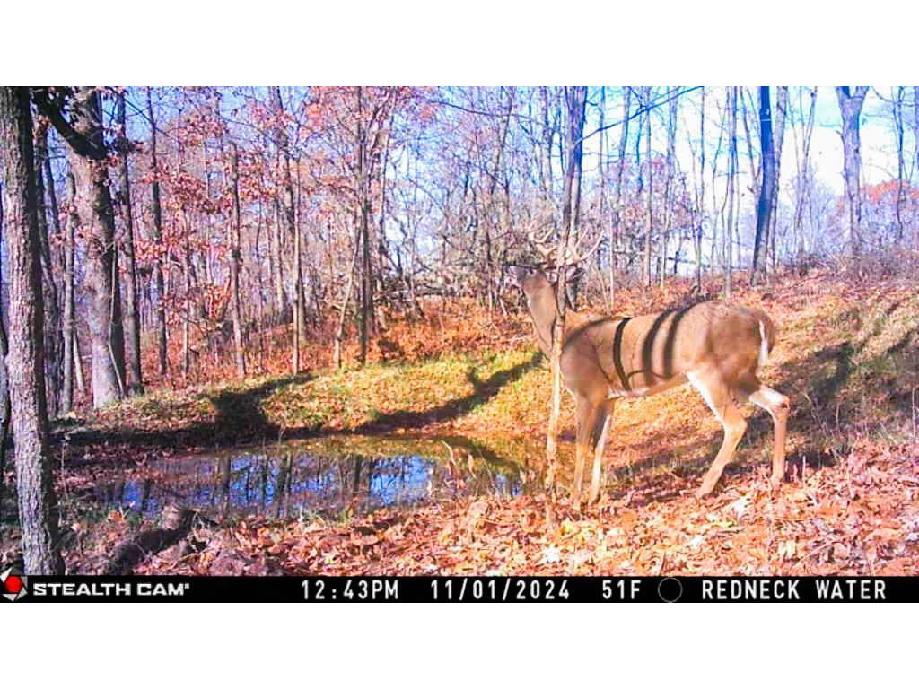 W27022 Whistle Pass Road Dodge WI 54661 7007838 image43