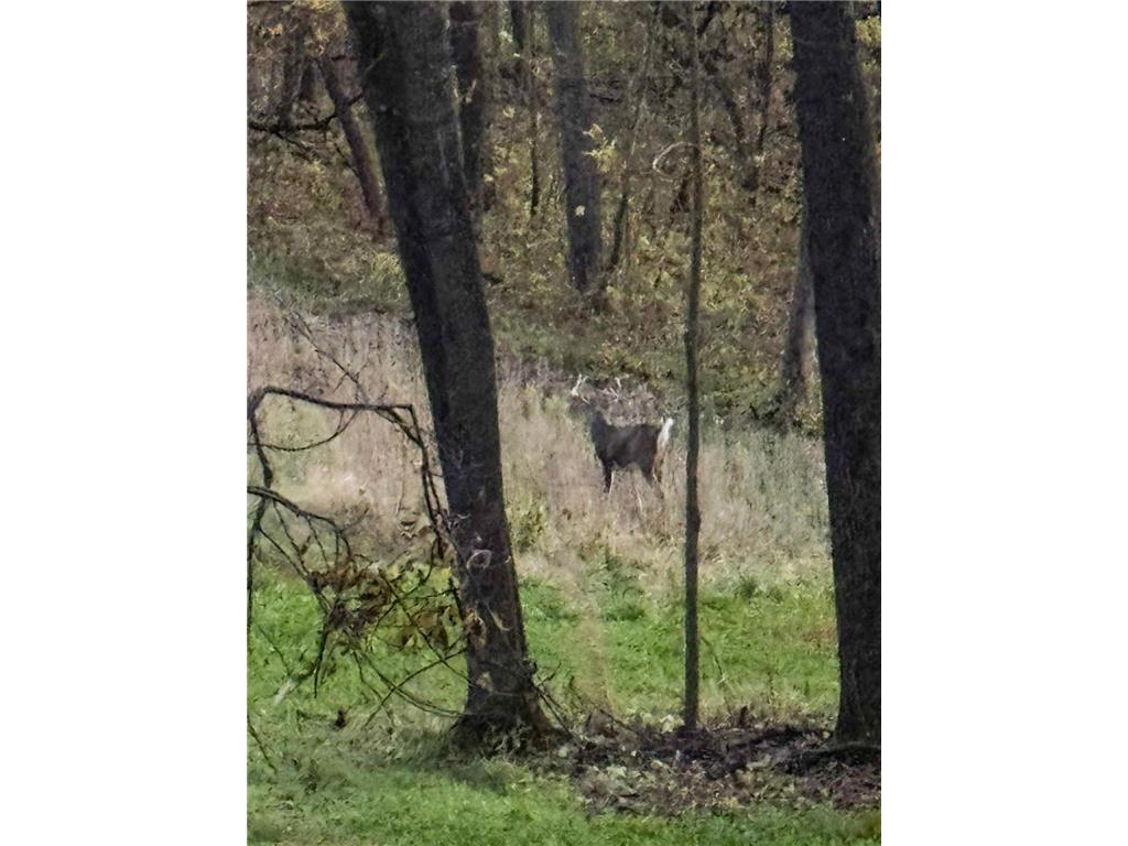 W27022 Whistle Pass Road Dodge WI 54661 7007838 image45