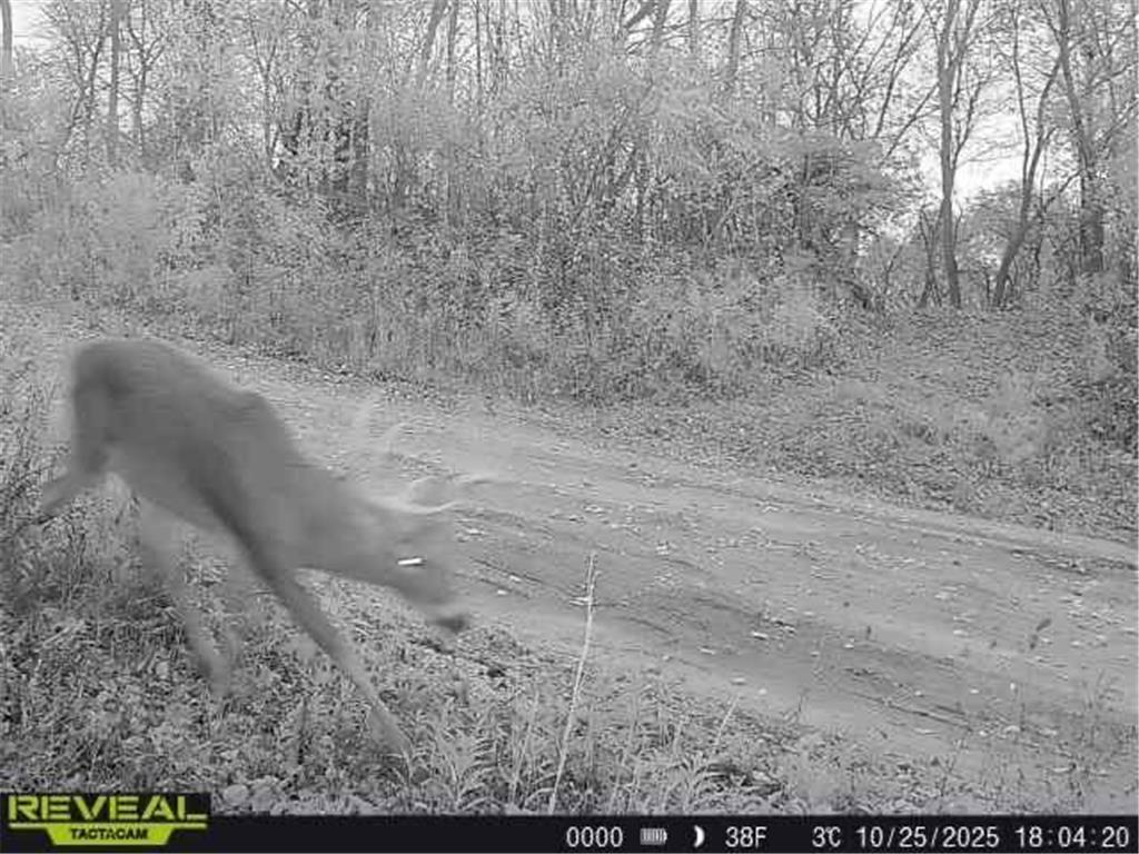 W27022 Whistle Pass Road Dodge WI 54661 7007838 image46