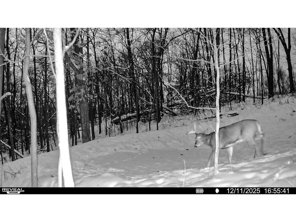 W27022 Whistle Pass Road Dodge WI 54661 7007838 image48