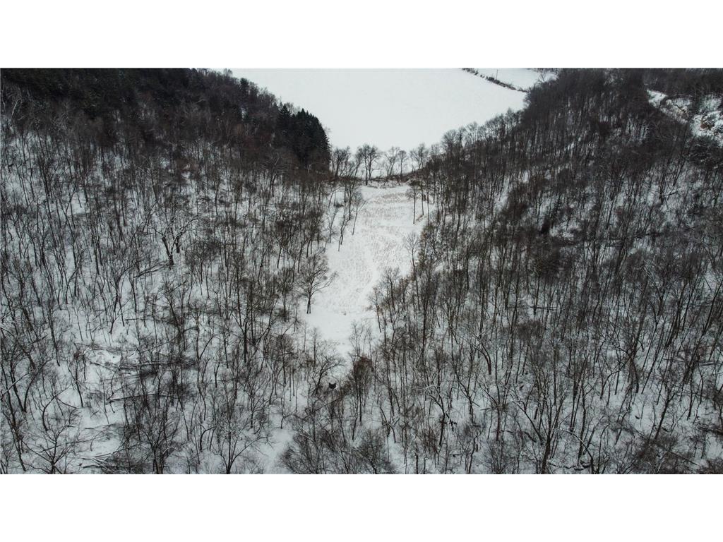 W27022 Whistle Pass Road Dodge WI 54661 7007838 image49