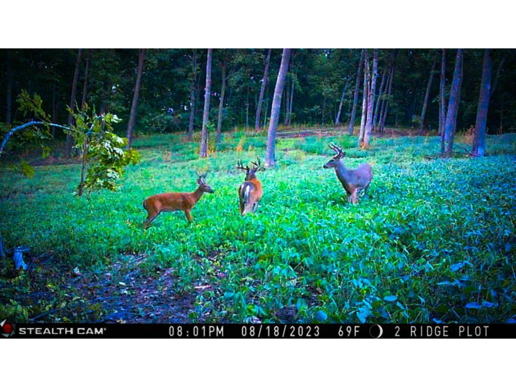 W27022 Whistle Pass Road Dodge WI 54661 7007838 image5