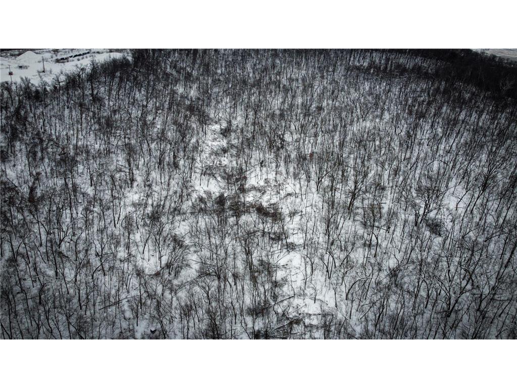 W27022 Whistle Pass Road Dodge WI 54661 7007838 image50