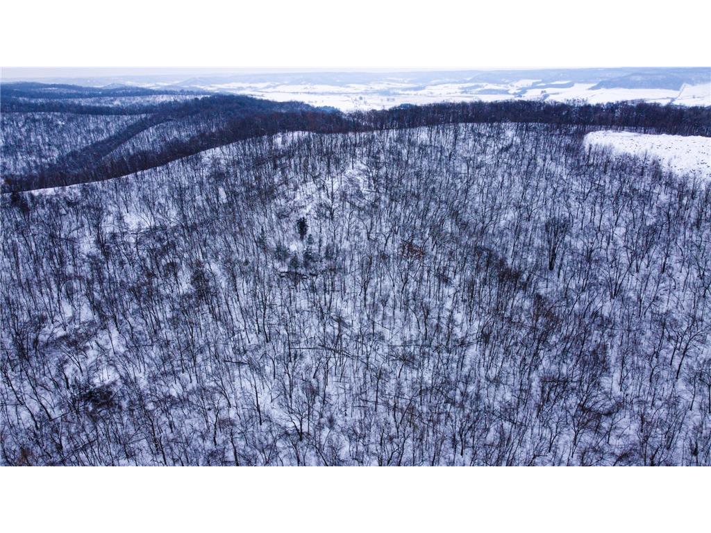 W27022 Whistle Pass Road Dodge WI 54661 7007838 image52