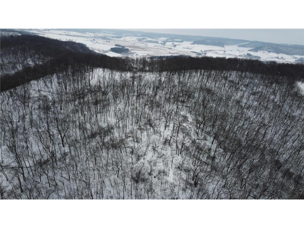 W27022 Whistle Pass Road Dodge WI 54661 7007838 image53