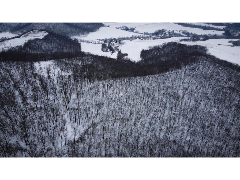 W27022 Whistle Pass Road Dodge WI 54661 7007838 image54