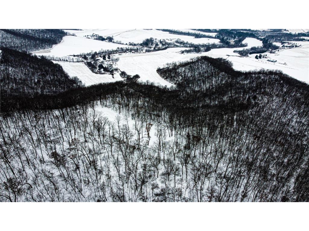 W27022 Whistle Pass Road Dodge WI 54661 7007838 image55