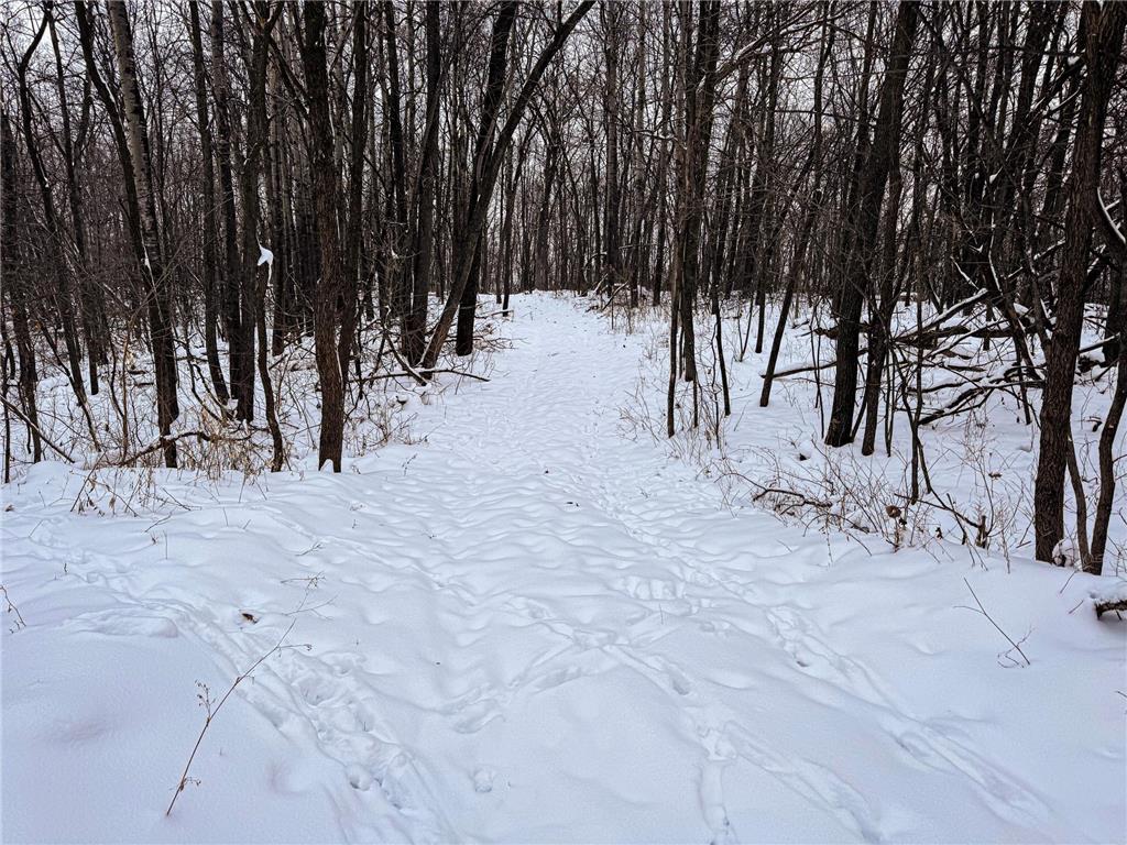 W27022 Whistle Pass Road Dodge WI 54661 7007838 image56