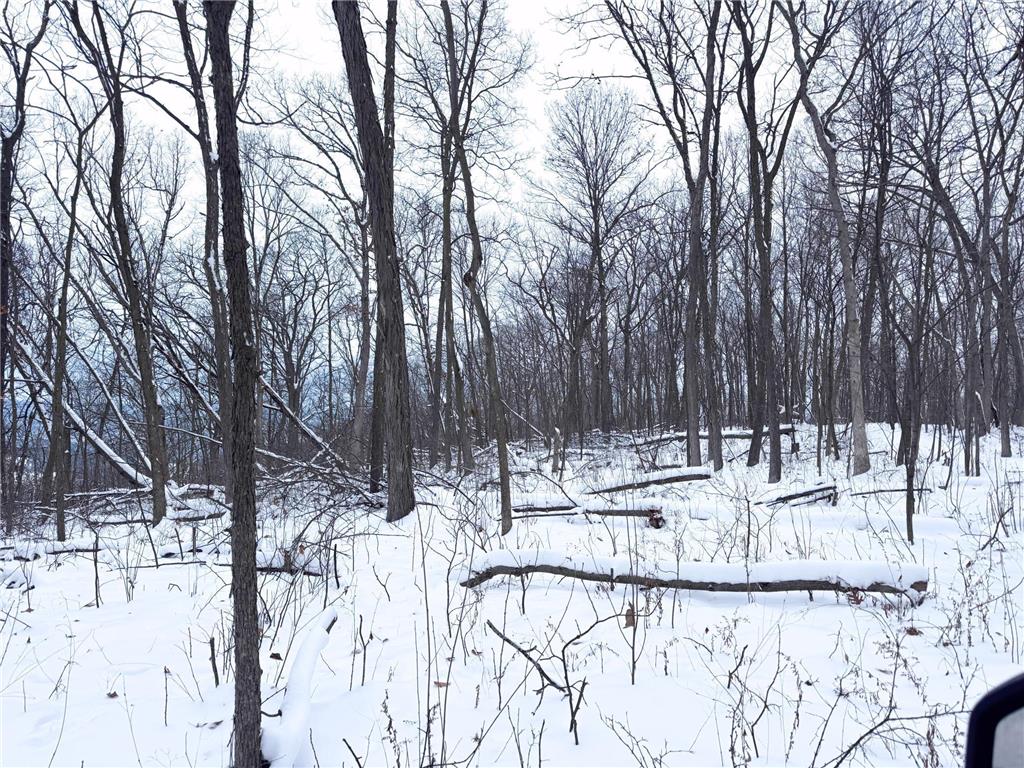 W27022 Whistle Pass Road Dodge WI 54661 7007838 image57