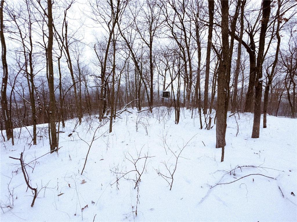 W27022 Whistle Pass Road Dodge WI 54661 7007838 image58