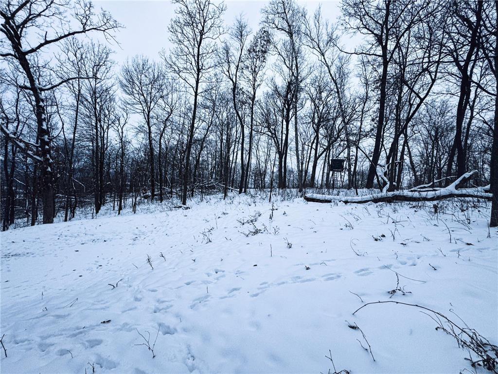 W27022 Whistle Pass Road Dodge WI 54661 7007838 image59