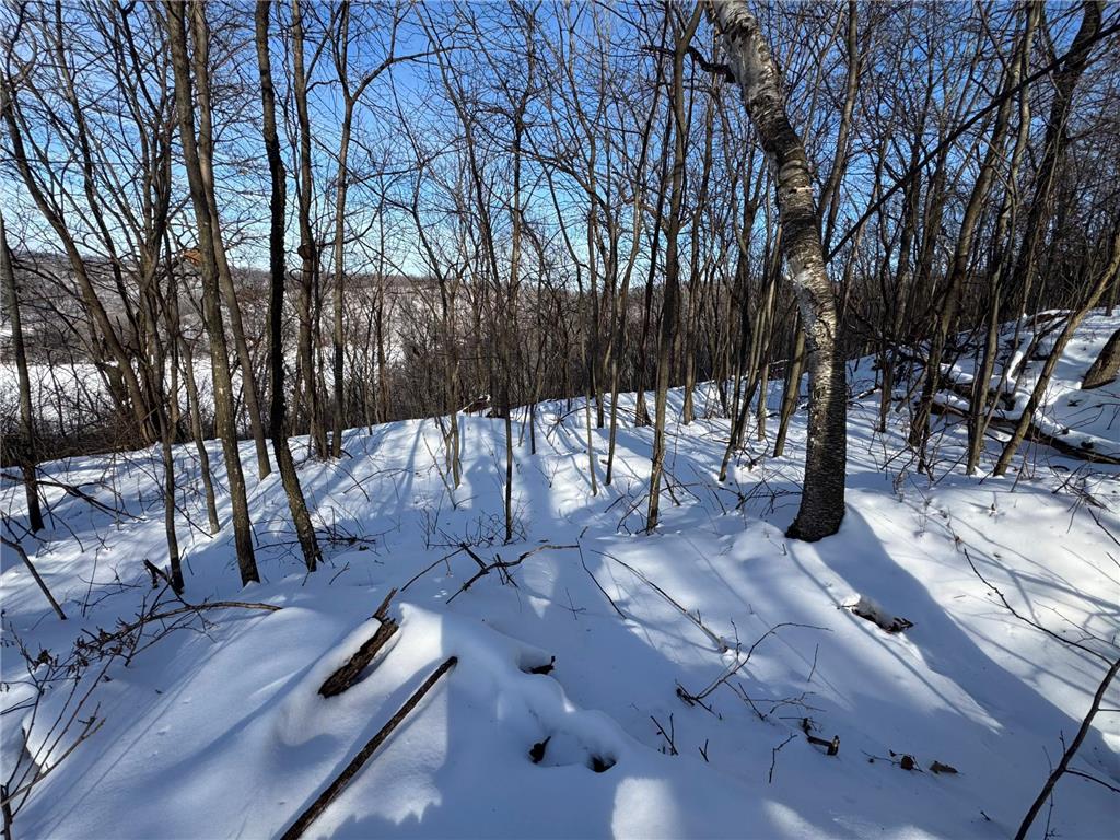 W27022 Whistle Pass Road Dodge WI 54661 7007838 image6