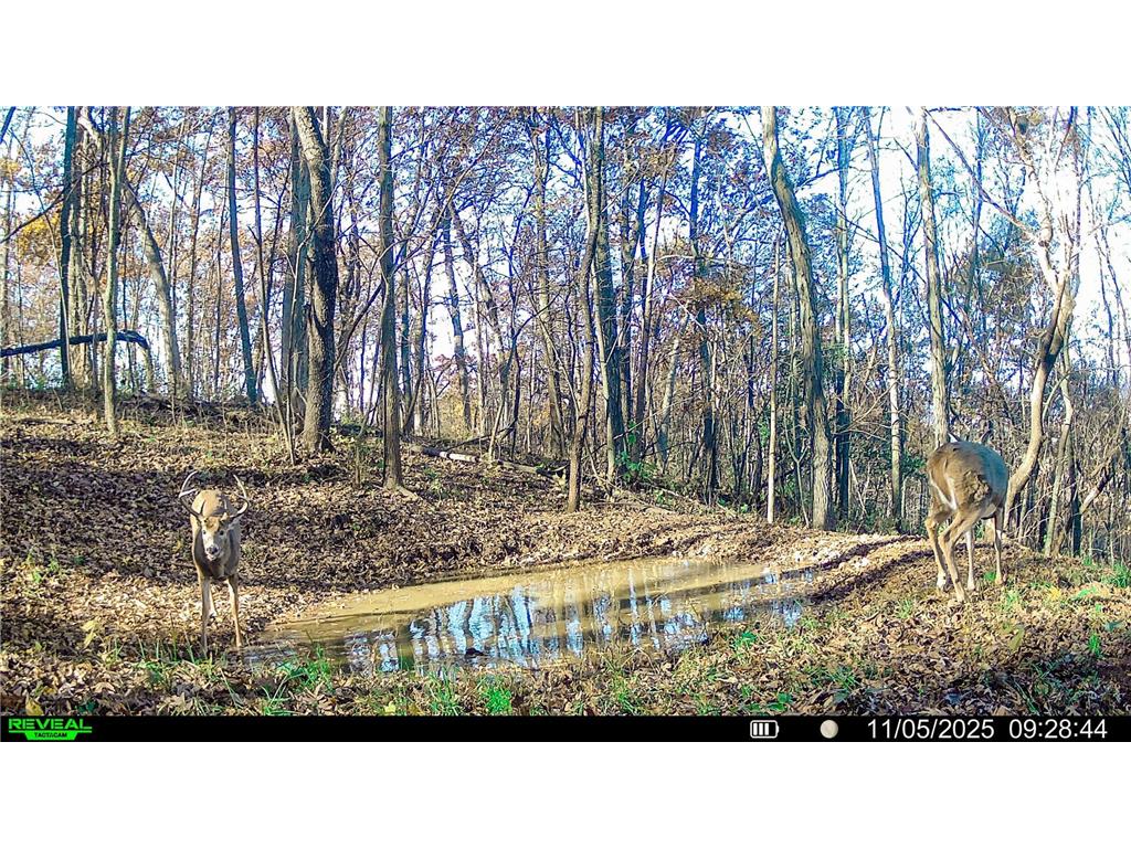 W27022 Whistle Pass Road Dodge WI 54661 7007838 image60