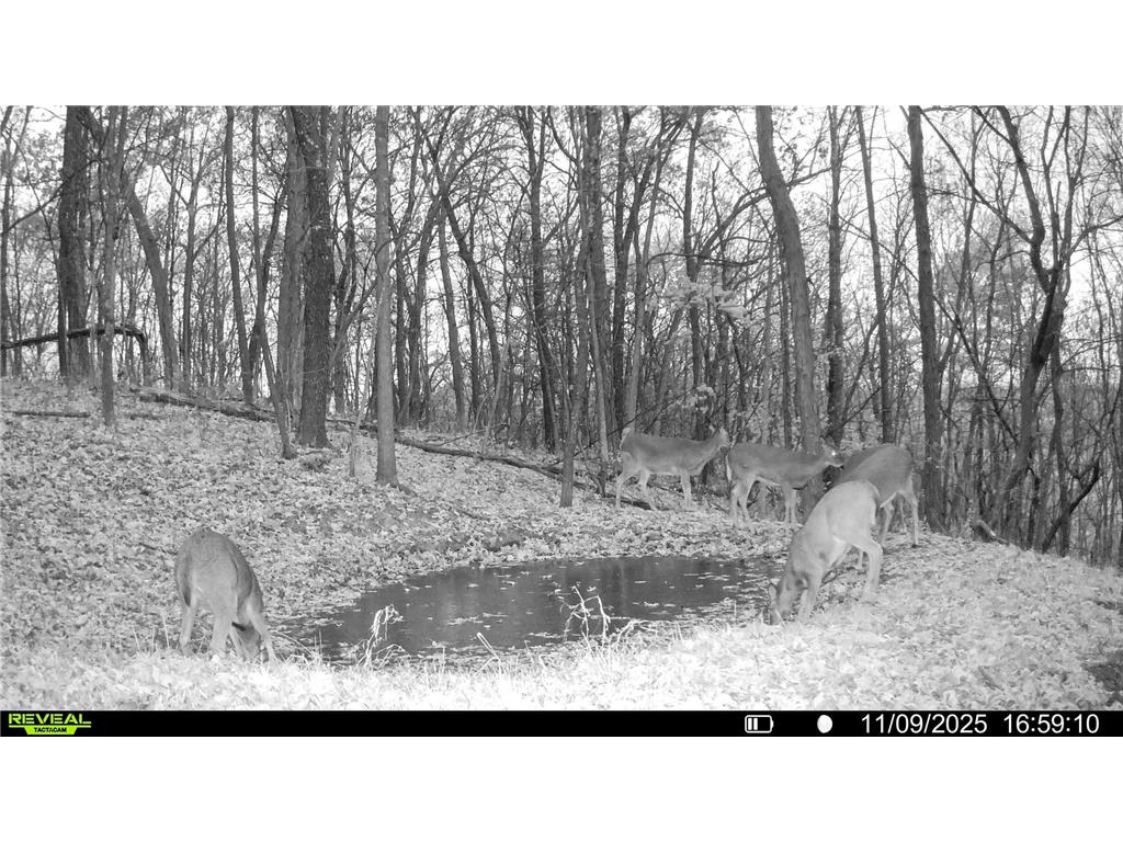 W27022 Whistle Pass Road Dodge WI 54661 7007838 image61