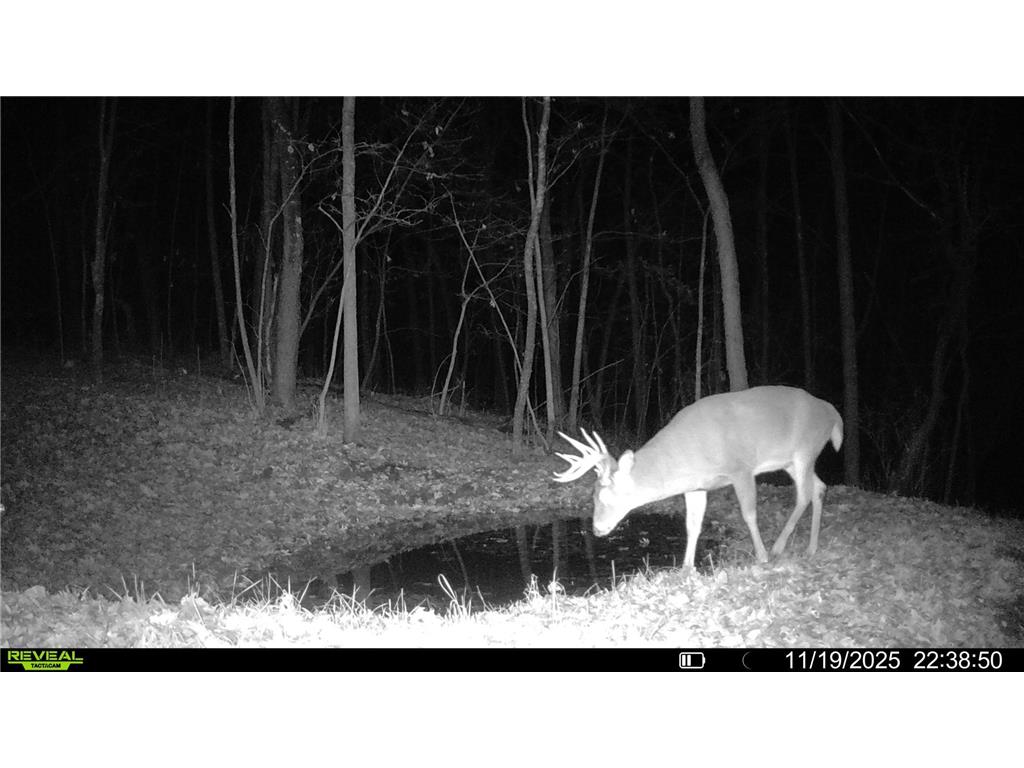 W27022 Whistle Pass Road Dodge WI 54661 7007838 image63