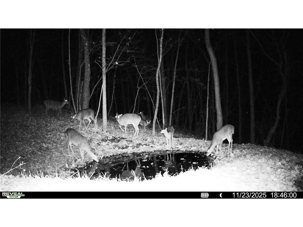 W27022 Whistle Pass Road Dodge WI 54661 7007838 image64