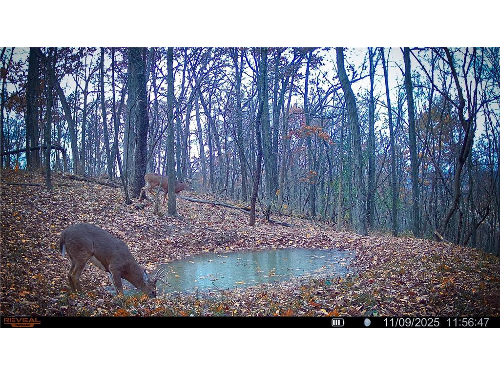 W27022 Whistle Pass Road Dodge WI 54661 7007838 image65