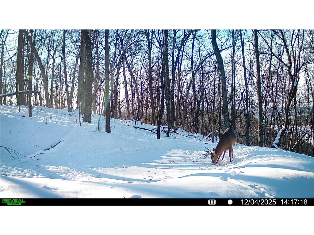 W27022 Whistle Pass Road Dodge WI 54661 7007838 image66