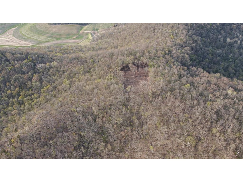 W27022 Whistle Pass Road Dodge WI 54661 7007838 image67