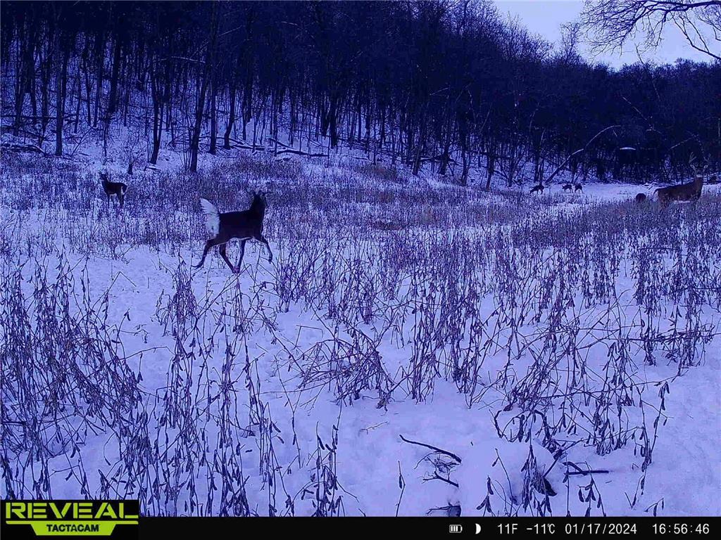 W27022 Whistle Pass Road Dodge WI 54661 7007838 image69