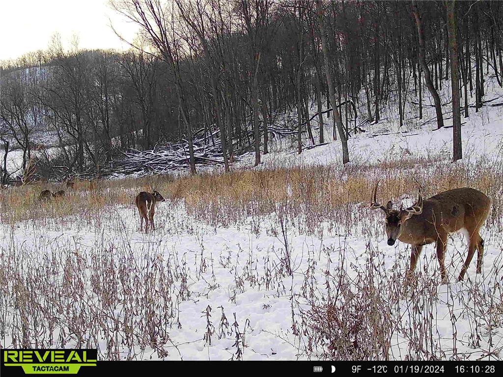 W27022 Whistle Pass Road Dodge WI 54661 7007838 image70