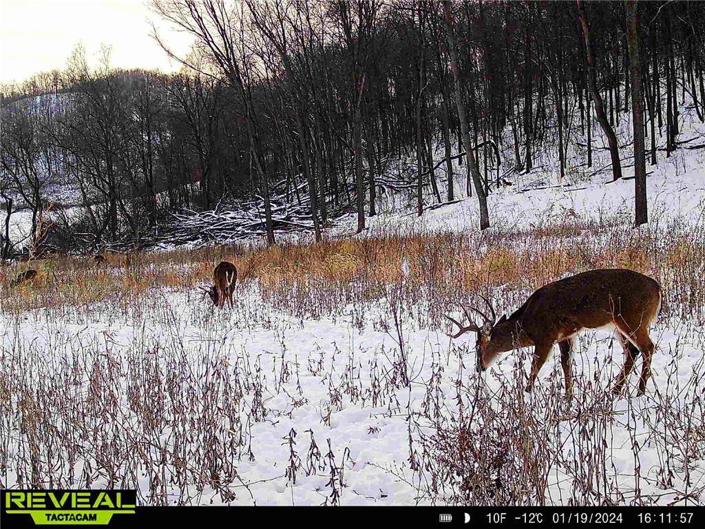 W27022 Whistle Pass Road Dodge WI 54661 7007838 image71