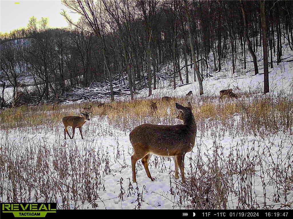 W27022 Whistle Pass Road Dodge WI 54661 7007838 image72