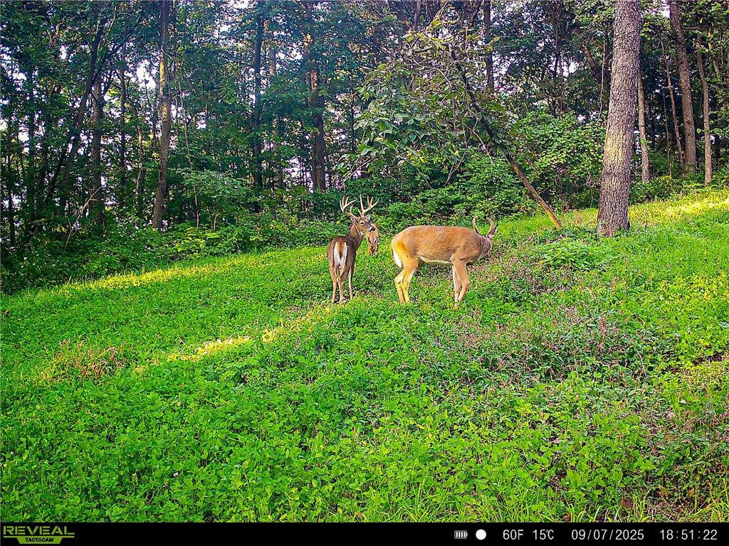 W27022 Whistle Pass Road Dodge WI 54661 7007838 image73