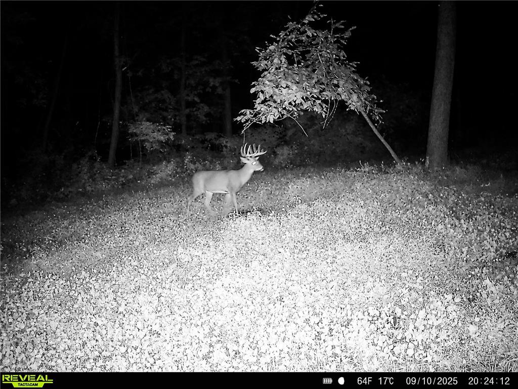 W27022 Whistle Pass Road Dodge WI 54661 7007838 image74