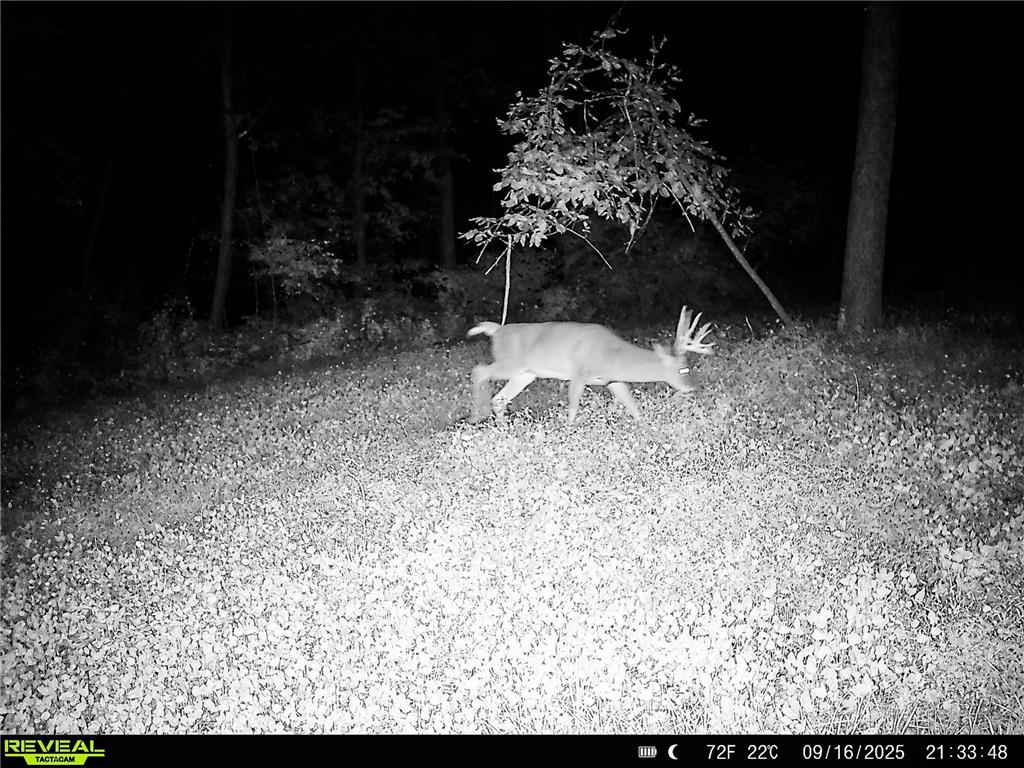 W27022 Whistle Pass Road Dodge WI 54661 7007838 image75