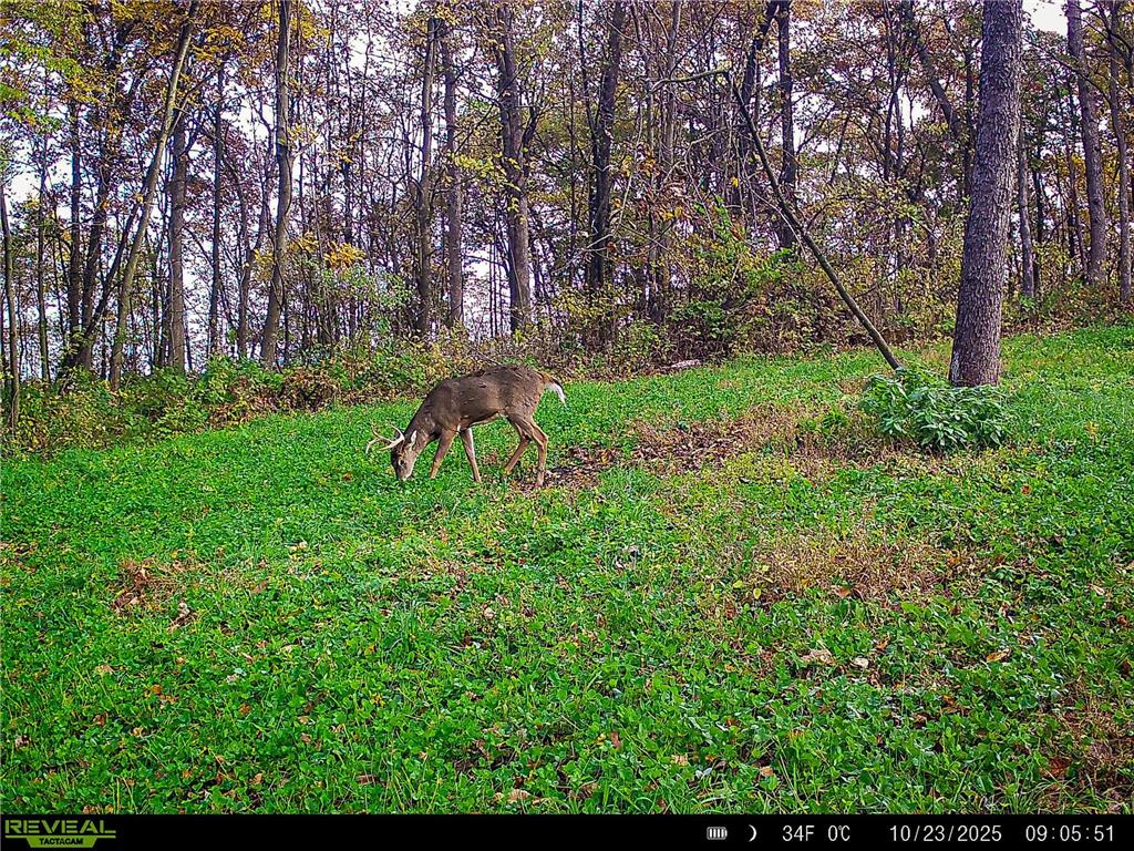 W27022 Whistle Pass Road Dodge WI 54661 7007838 image77